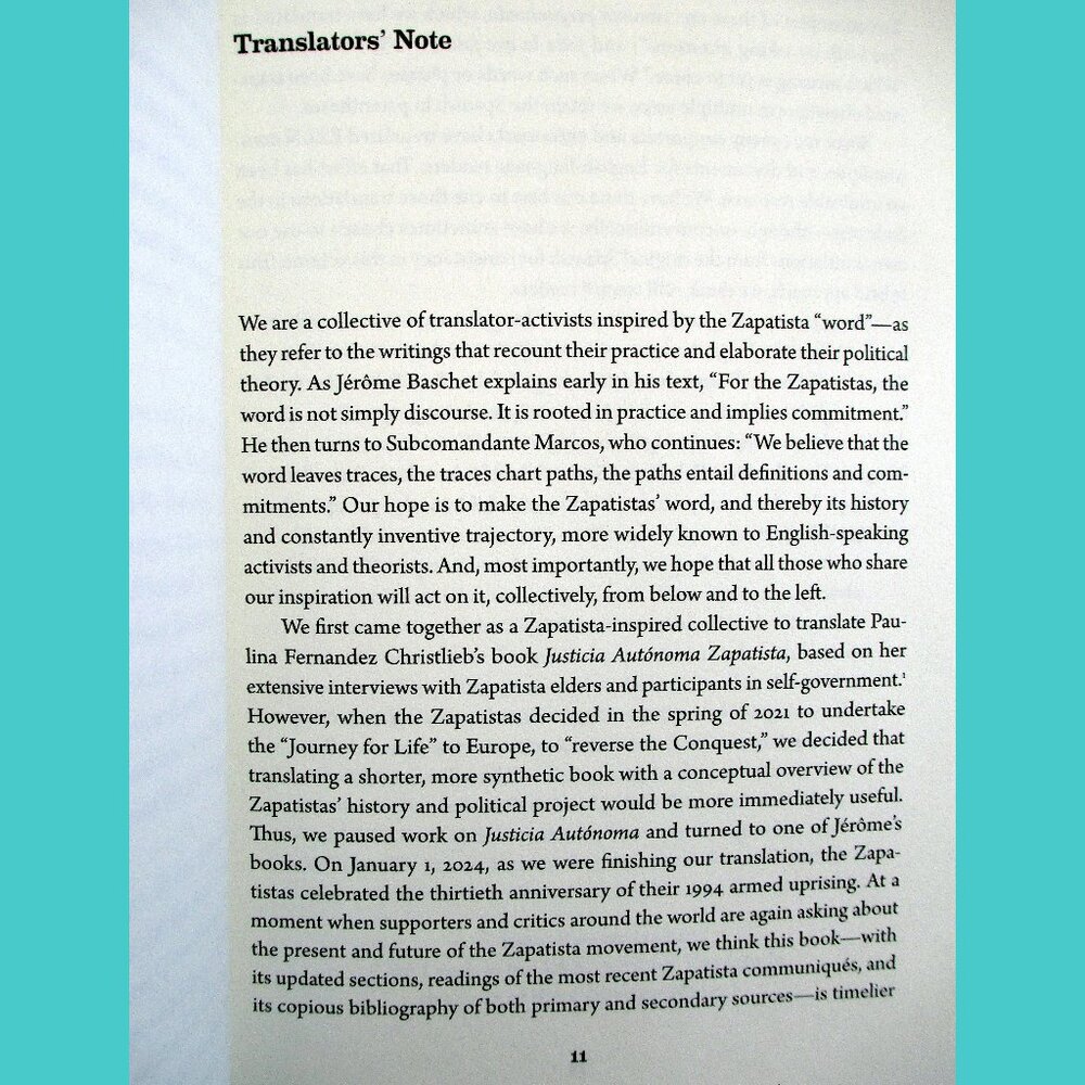 Book -  The Zapatista Experience: Rebellion, Resistance, and Autonomy - Picture 4 of 13